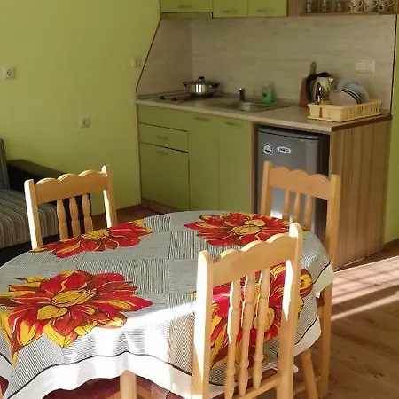 Sulinova Apartment